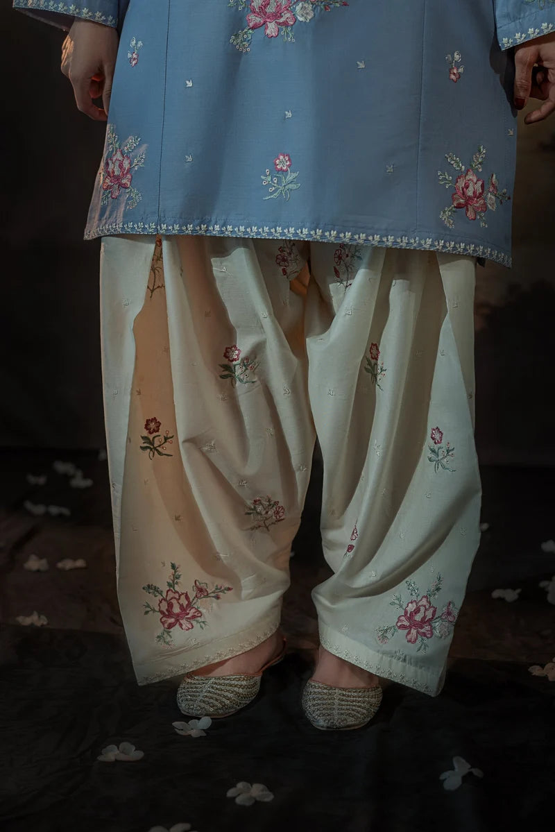 Fiza Embroidered Set